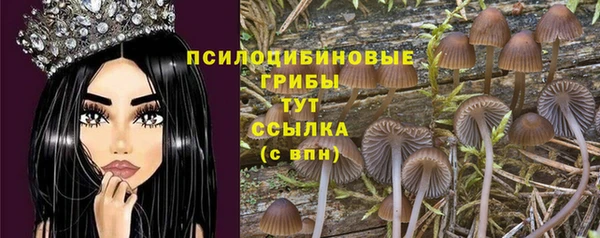 синтетический гашиш Богородицк
