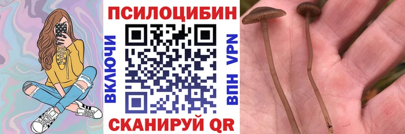 Галлюциногенные грибы мухоморы  Уфа 